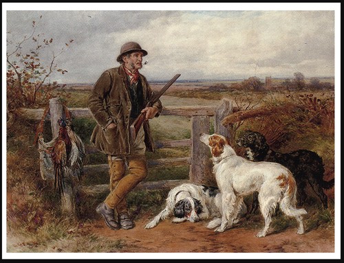 English setter dogs - dogs, with