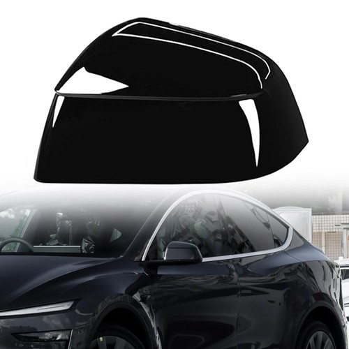 Left passengeer for tesla - left,