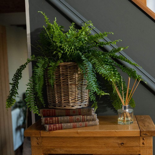 Antique round wicker - wicker, lined