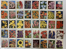 WD & HO WILLS CIGARETTE CARDS