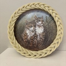 Vintage Maine Coon Kittens Cat Royal Melamine Woven Wicker Edge Round Tray 9”