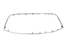 Front bumper radiator - front, grille