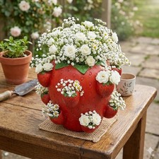 Strawberry Planters Pot