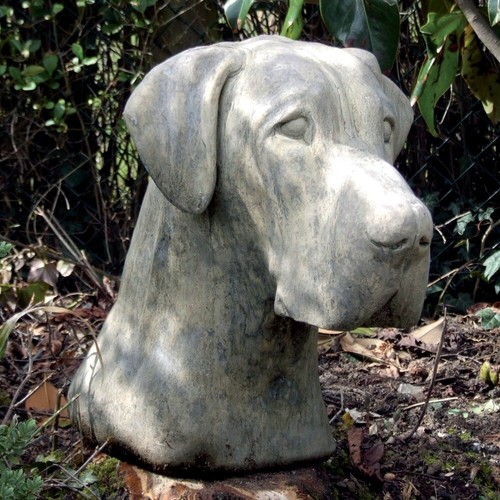 Great dane head bust stone - head,