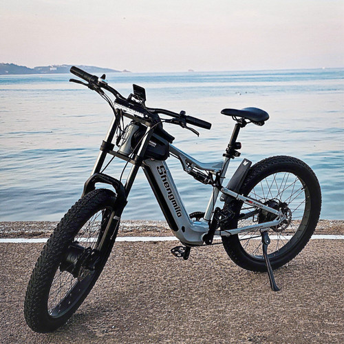 Long range 48v electric - range, 26''48v
