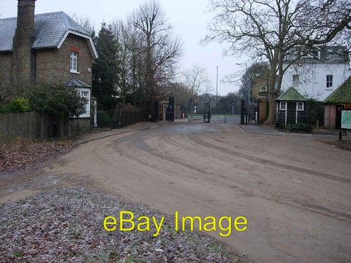 Photo 6x4 robin - robin, gate