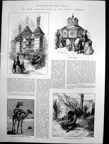 Old print australia - print,