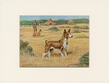 BASENJI OLD 1958 DOG ART PRINT MOUNTED Artist EDWIN MEGARGEE