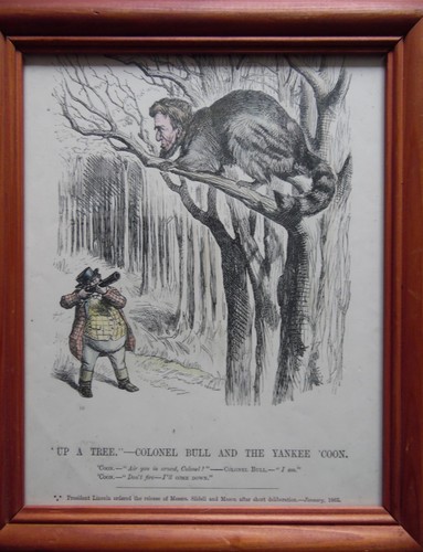 Tree colonel bull and the - bull,