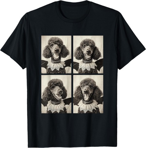 Funny vampire poodle - poodle, dog