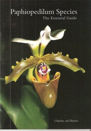 Paphiopedilum species the - paphiopedilum,