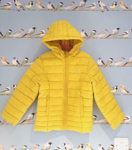 Joules padded quilted coat - joules, age
