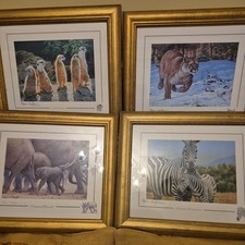 Set Of 4 Limited Edition