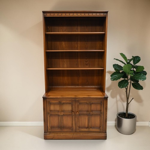 Ercol mural bookcase - mural, music