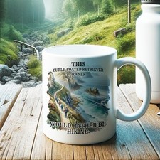 Fab Gift Idea – CURLY COATED