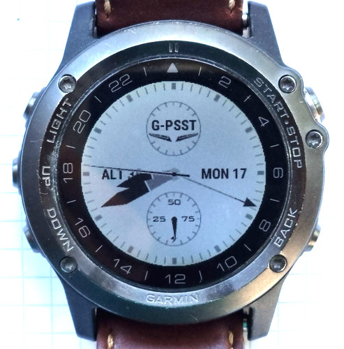 Garmin bravo titanium - garmin, d2