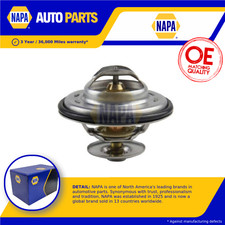 Coolant Thermostat fits