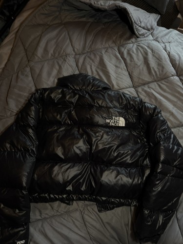 The north face - the, cropped
