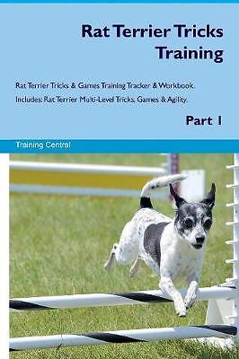 Rat terrier tricks training - terrier,