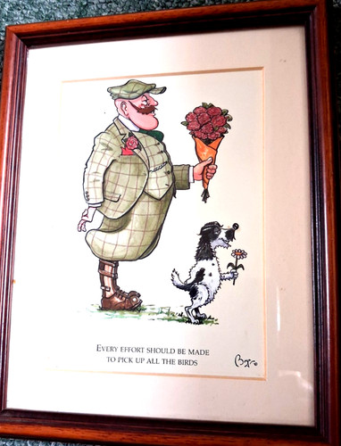 Bryn parry cartoon print - parry,