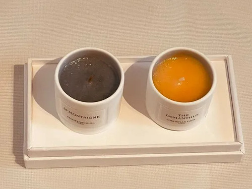 Christian dior maison - christian,