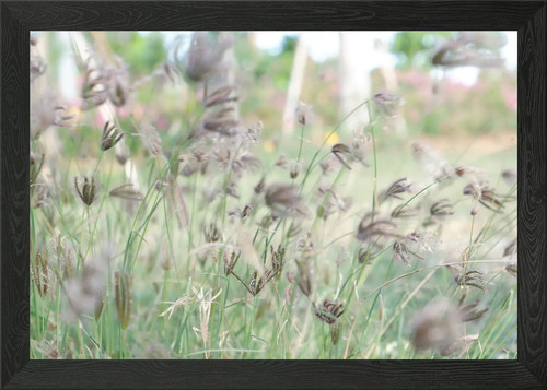 Beautiful fresh plant - fresh, framed