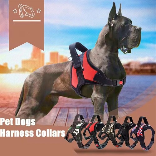 Dog harness pull for small - dog,
