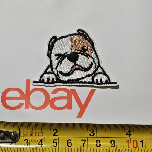 Staffordshire bull terrier - staffordshire,