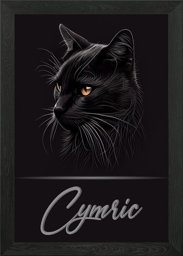 Cymric cat framed - framed, wall