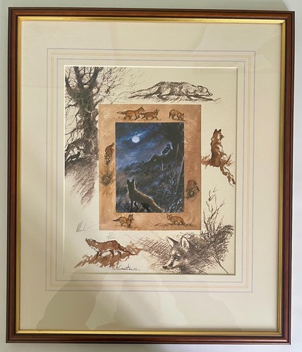 Fox watching mick - -, cawston