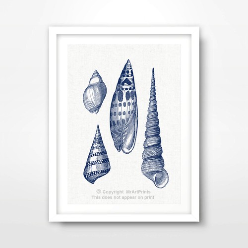 Seashell chart seaside - chart,
