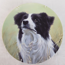 Royal Worcester Border Collie