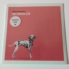 Big Fugitive Life by Ezra