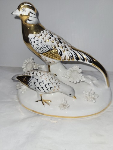 Staffordshire golden pheasants - golden,