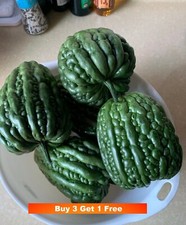 3x Round Bitter Melon /Bitter Gourd seeds 舌尖上的中国推荐正宗中国大顶苦瓜种子3粒