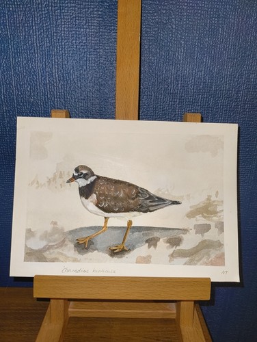 Original small gouache - original,