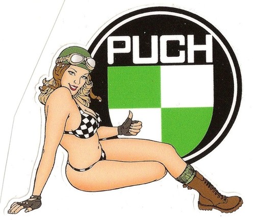 Puch right pin vinyl - right,