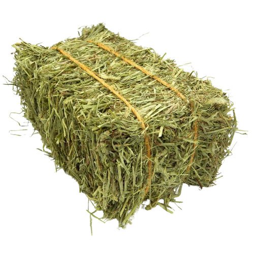 Mini hay bale - hay, canadian