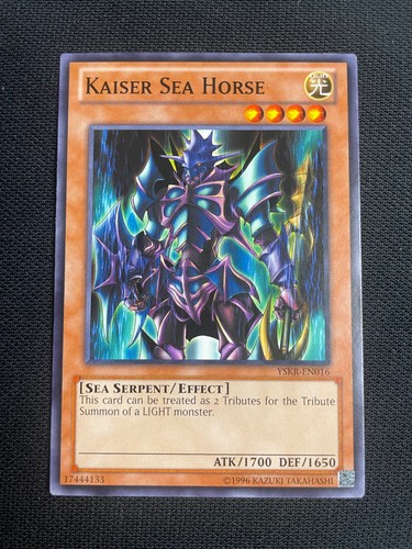 Kaiser sea horse - sea,