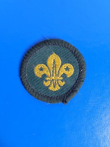 Boy scouts cub - boy,