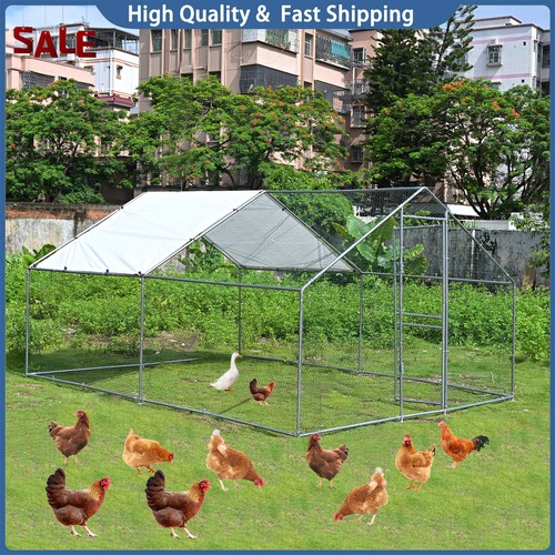 13x10ft large metal chicken - large,