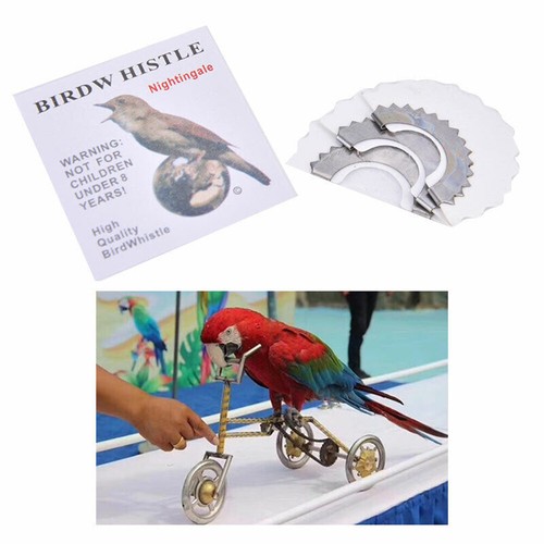 New bird whistle magic - new, fun