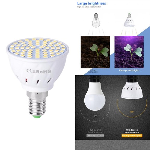 Led plant grow - grow, light