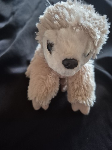Zsl small sloth soft - soft, toy