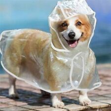 Hooded Clear Waterproof Dog
