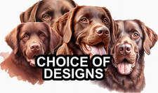 Chesapeake Bay Retriever Self