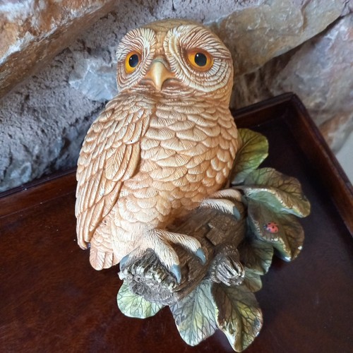 1968 legend england owlet bird - legend,