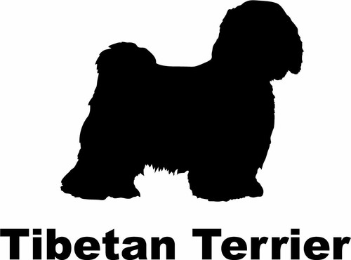 Tibetan terrier - tibetan,
