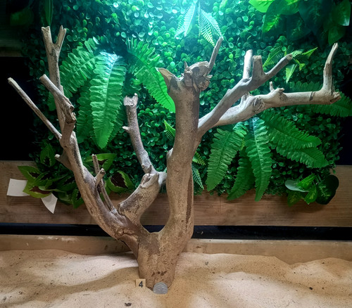 Talawa wood aquascaping - wood,