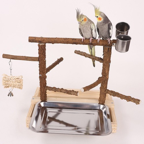 Bird play stand parrot - bird,